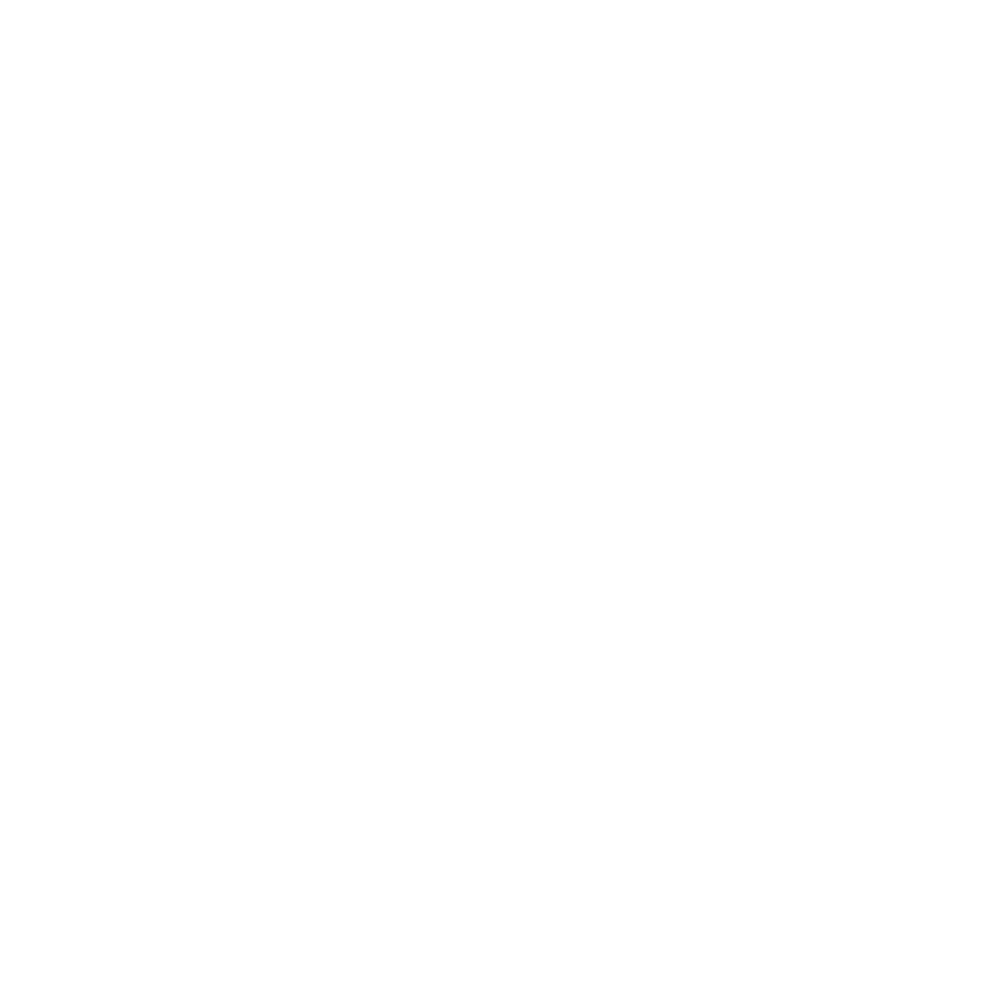 Luus